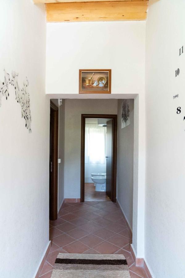 B&B Aria Antica Verbicaro Экстерьер фото